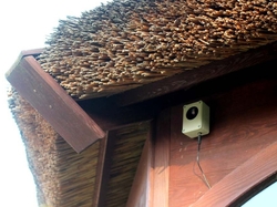 Wasserdichte Ultraschall-Vogelscheuche für Marder, Mäuse und Ratten DRAGON ULTRASONIC C100